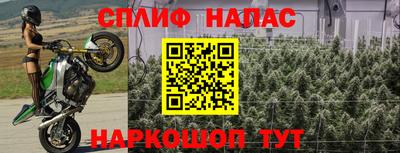 шишки Чебаркуль