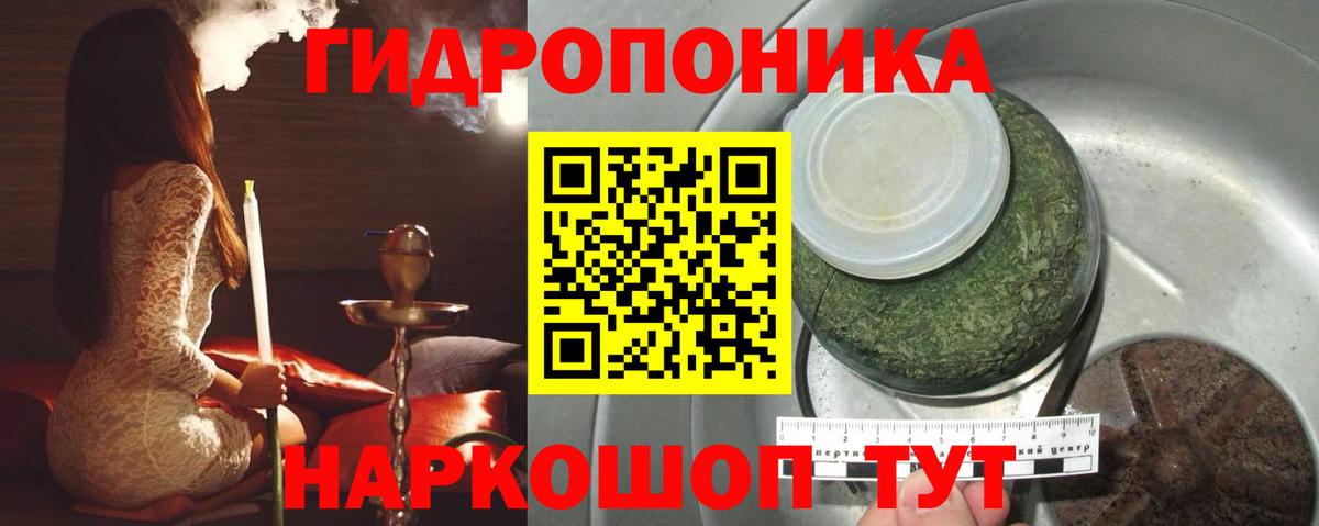 Аргун  Бошки марихуана семена  Вход с VPN  Марихуана Amnesia  Канабис Bruce Banner 